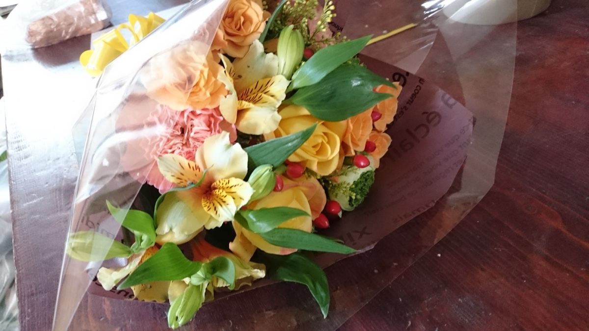 参考写真9